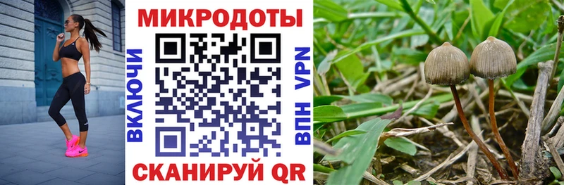 дарнет шоп  Мезень  Галлюциногенные грибы мухоморы 